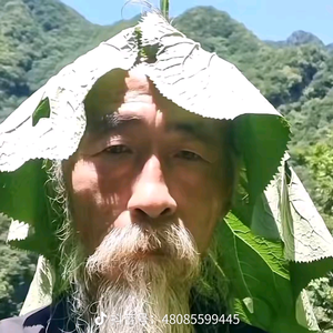 神不在兰州头像