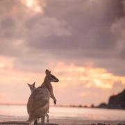 Steven292的个人资料头像