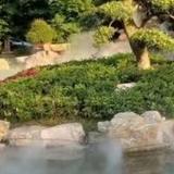 爱生活柑桔6f6头像