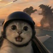 二两781的个人资料头像