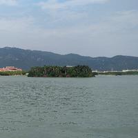 只隐姓不埋名头像