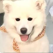 喜欢养乐多的个人资料头像