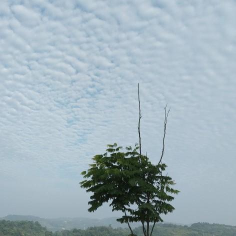 琼的生活爱好分享头像