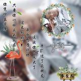 用户553801479892488头像