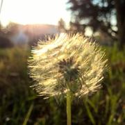 细凤的个人资料头像
