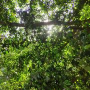 拈花一啸的个人资料头像