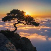 山海1983的个人资料头像