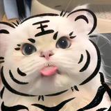 選123456头像