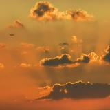 天空之城追行头像