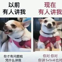 陕西意秦比亚迪孙康猛头像