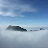迈向胜利之路头像