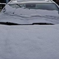 回家的路上充满幸福头像