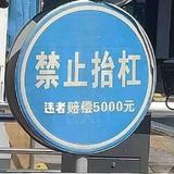 白日梦想家WW头像