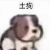 自由的辰星zei头像