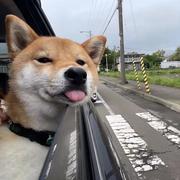 丞哥无处不在的个人资料头像