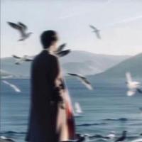 喜庆的花猫7x5头像