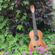 hongnianliu的个人资料头像