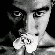 前方640的个人资料头像