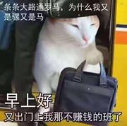 _乖乖_的个人资料头像