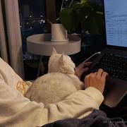 喻文州的个人资料头像