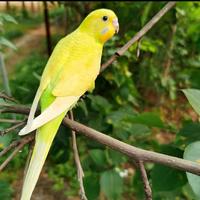 率真明镜rm头像