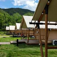 苏苏苏星河头像