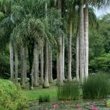 用户8154699934113qj2头像