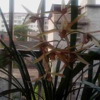 中国男人846头像