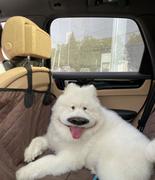 撸起袖子加油干一起奔小康的个人资料头像