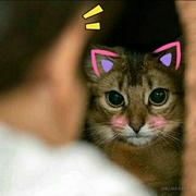 零回应的个人资料头像