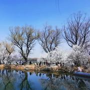 心随梦求的个人资料头像