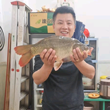 牛哥500万头像