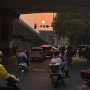 红色荔枝的个人资料头像