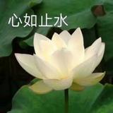 向未来叫板的一万头像