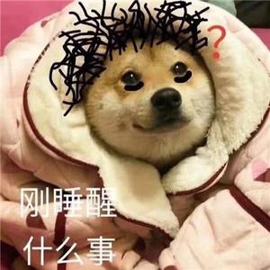 李顶顶头像