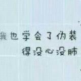 补补哔哔哔好头像