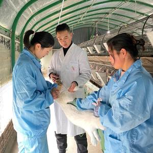 禾牧兔业头像