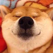 damonlid的个人资料头像