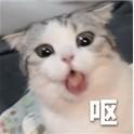 用户8805782720818的个人资料头像