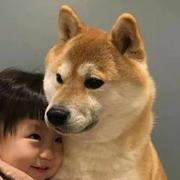 N4的个人资料头像