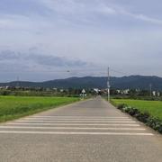 王贵旺的个人资料头像