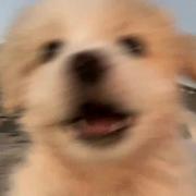 is793的个人资料头像