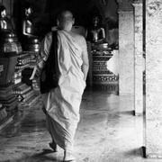 ovyvo的个人资料头像