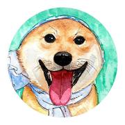 独立开发者知正的个人资料头像