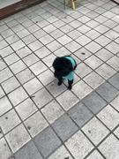 我是切图崽的个人资料头像