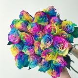 可立彩鲜花干花芦苇染色头像