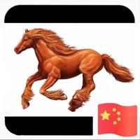 宁波张斌头像