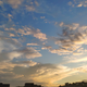 电灯泡775头像