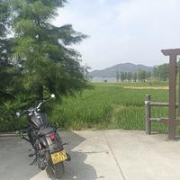 中年又活跃起来了头像