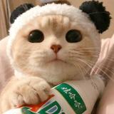 小小¼头像
